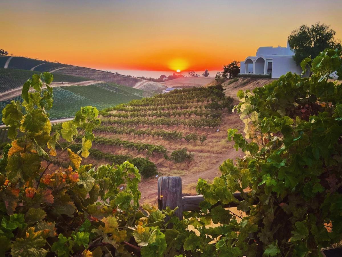 Sirena Vineyard Resort パソロブレス エクステリア 写真